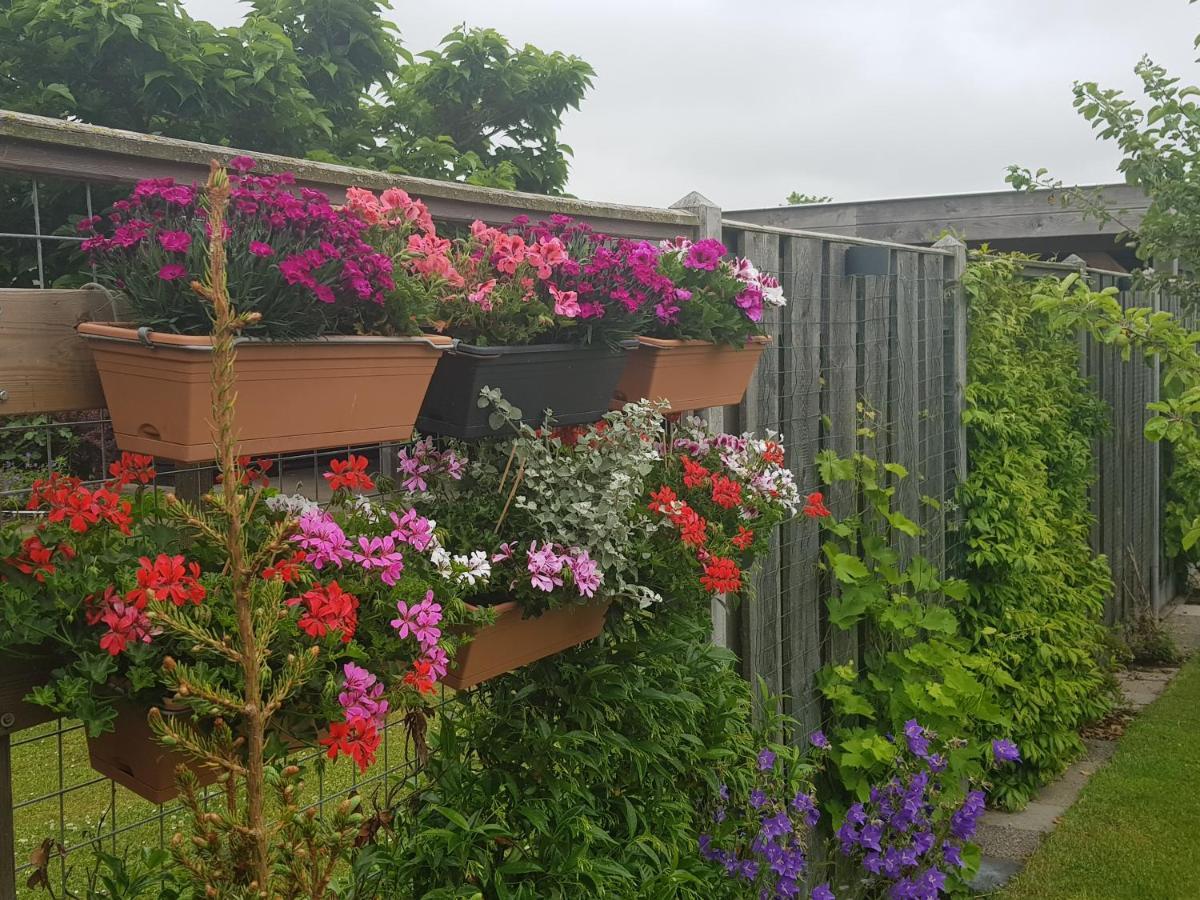 B&B Welkom Zierikzee Exteriör bild