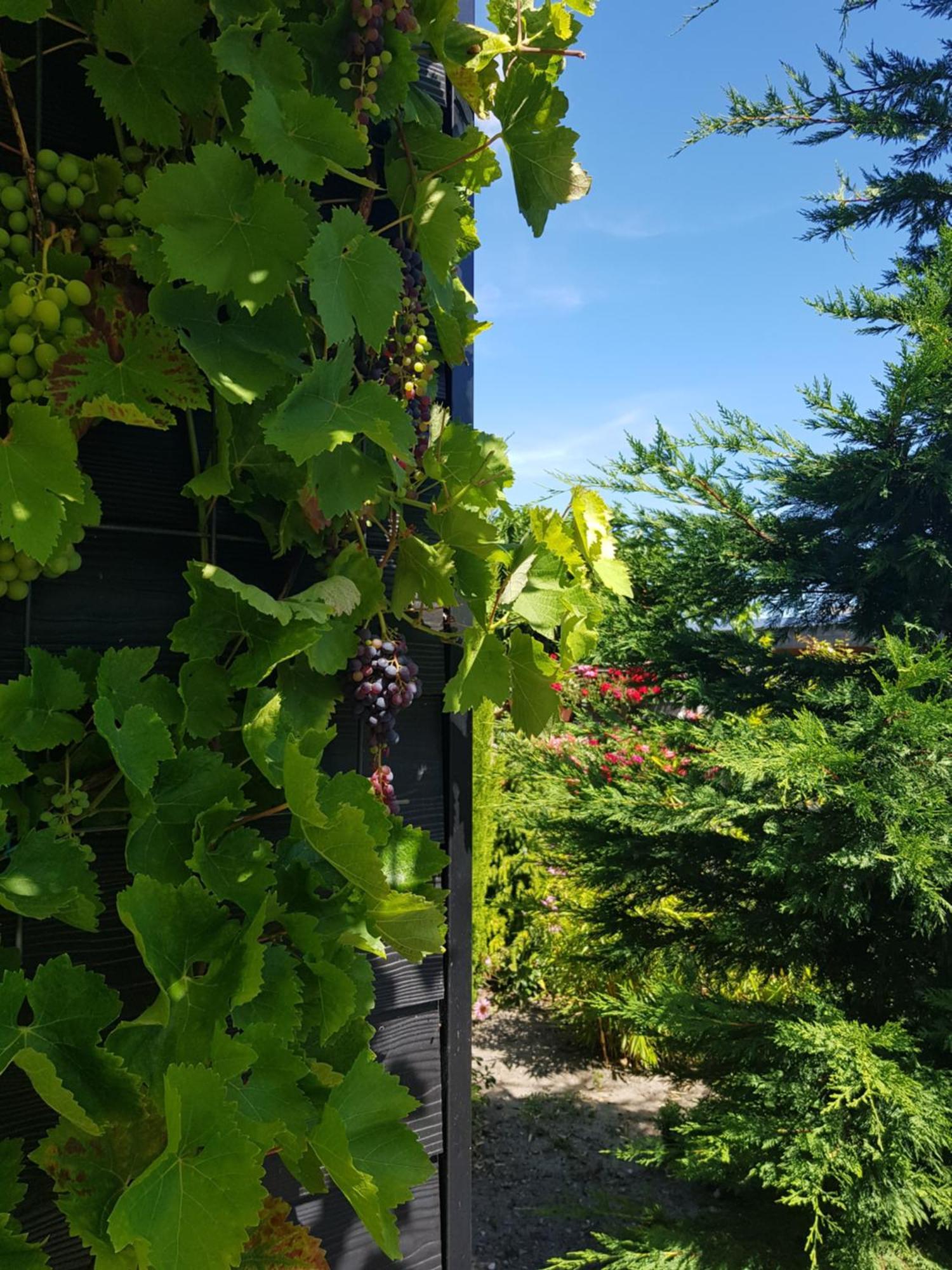 B&B Welkom Zierikzee Rum bild