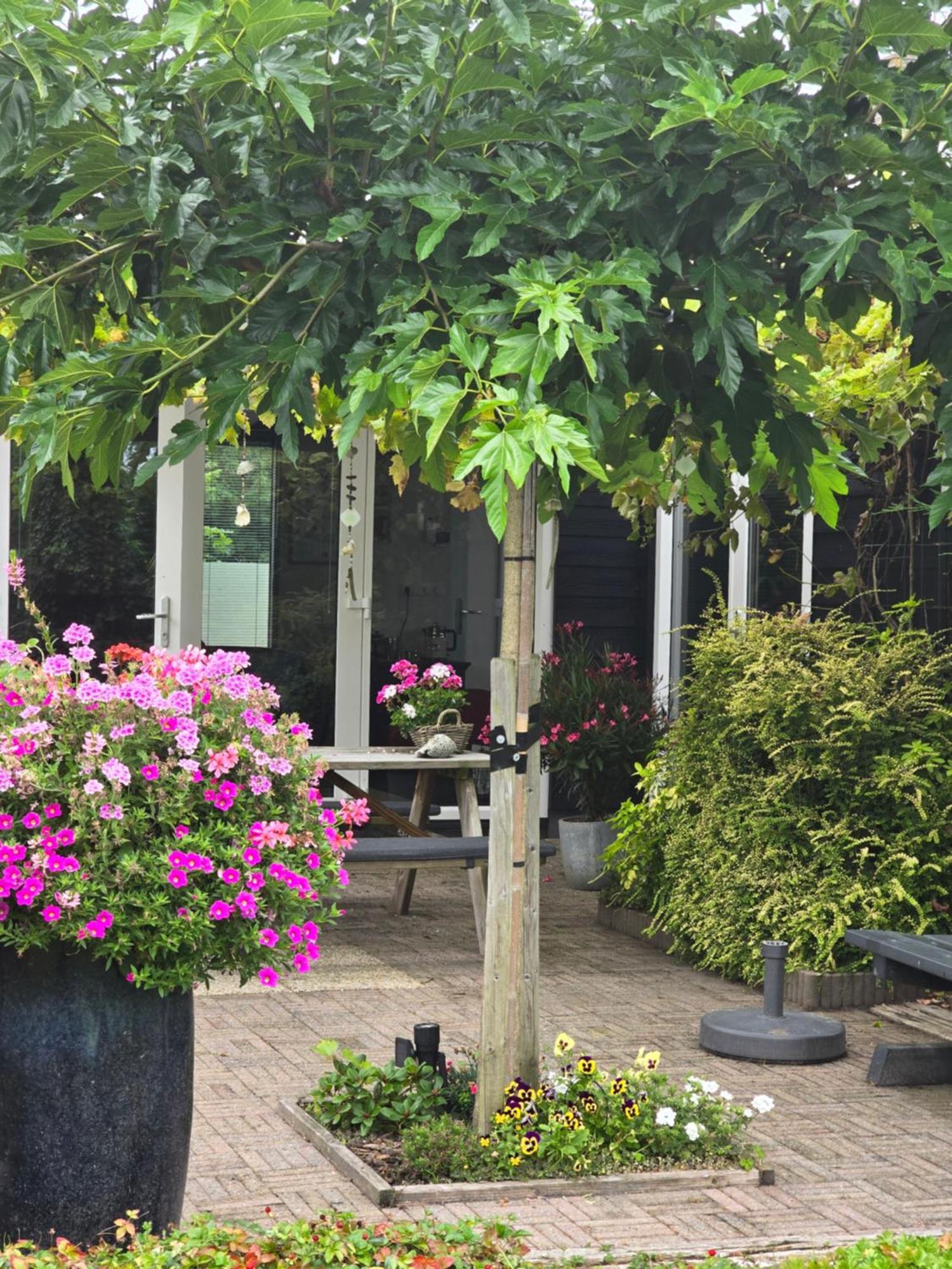 B&B Welkom Zierikzee Exteriör bild
