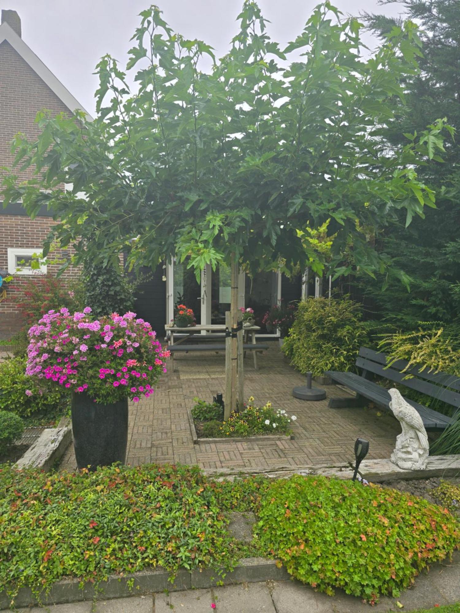 B&B Welkom Zierikzee Exteriör bild